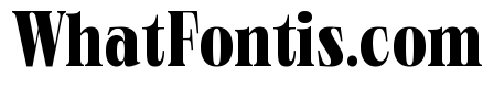 Neue World Super Condensed Variable Regular 7