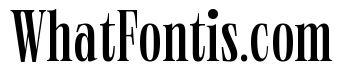 Neue World Super Condensed Variable Regular 4