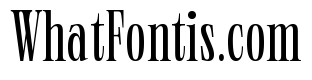 Neue World Super Condensed Variable Regular 3