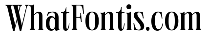 Neue World Semi Condensed Variable Regular 4
