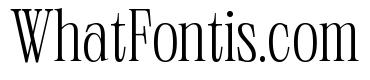 Neue World Semi Condensed Variable Regular 2