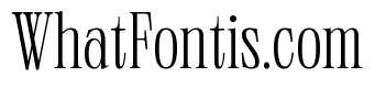 Neue World Condensed Variable Regular 2