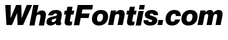 Neue Montreal Variable Extrabold Italic