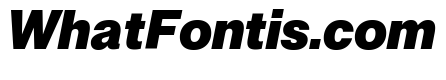 Neue Montreal Variable Black Italic