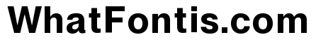 Neue Montreal Text Variable Semibold