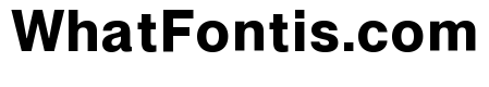 Neue Montreal Text Variable Bold
