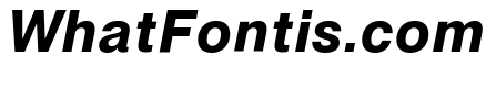 Neue Montreal Text Variable Bold Italic