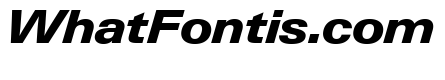 Neue Gstaad Wide Variable Wide Extrabold Italic