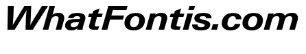Neue Gstaad Variable Wide Bold Italic