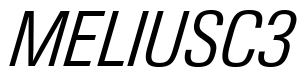 Neue Gstaad Variable Narrow Light Italic