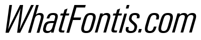 Neue Gstaad Variable Condensed Light Italic