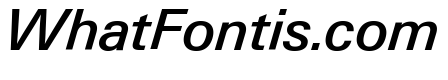 Neue Gstaad Normal Variable Medium Italic