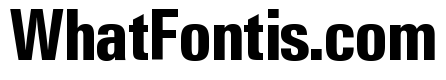 Neue Gstaad Condensed Variable Condensed Bold