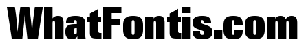 Neue Gstaad Condensed Variable Condensed Black