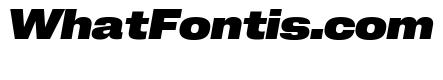 Neue Corp Wide Ultrabold Italic