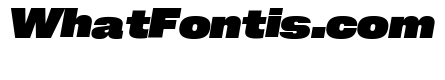 Neue Corp Wide Heavy Italic