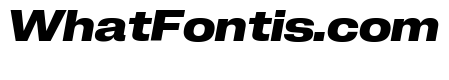 Neue Corp Wide Bold Italic