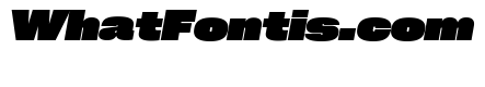 Neue Corp Wide Black Italic