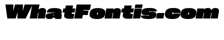 Neue Corp Variable Wide Black Italic