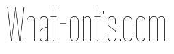 Neue Corp Variable Condensed Thin