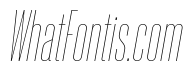 Neue Corp Thin Italic