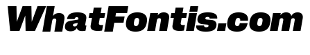Neue Corp Normal Ultrabold Italic