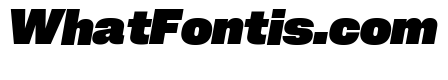 Neue Corp Normal Heavy Italic