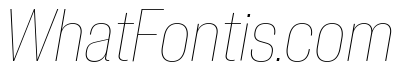 Neue Corp Narrow Thin Italic