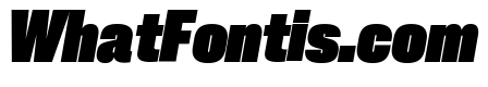 Neue Corp Narrow Black Italic