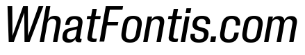 Neue Corp Medium Italic 3