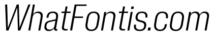 Neue Corp Light Italic 3