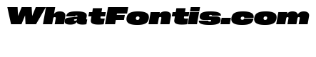 Neue Corp Heavy Italic 2