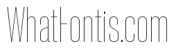 Neue Corp Condensed Thin