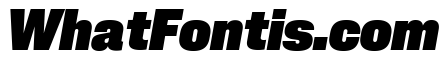 Neue Corp Compact Heavy Italic