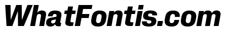 Neue Corp Compact Bold Italic