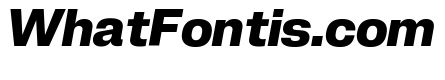 Neue Corp Bold Italic 4