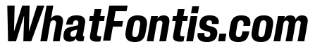 Neue Corp Bold Italic 3