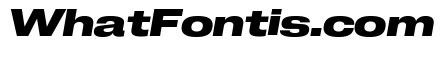 Neue Corp Bold Italic 2