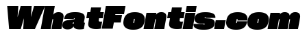 Neue Corp Black Italic 4