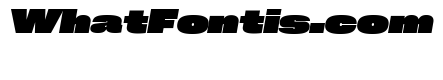 Neue Corp Black Italic 2