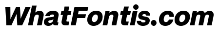 Mori Variable Heavy Italic