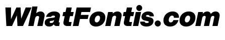 Mori Variable Black Italic
