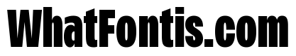 Monument Heavy Condensed Extended 2
