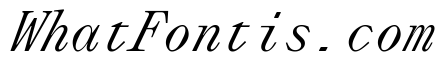 Lettra Mono Italic