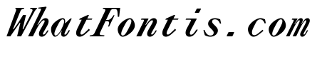 Lettra Mono Bold Italic