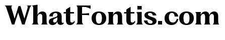 Fragment Text Variable Regular 5