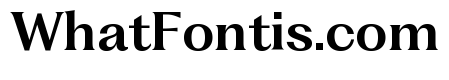 Fragment Text Variable Regular 4