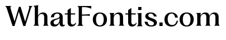 Fragment Text Variable Regular 3