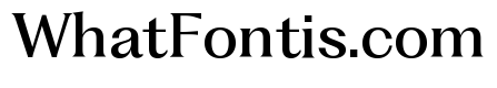 Fragment Text Medium