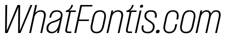 Formula Narrow Thin Italic 2
